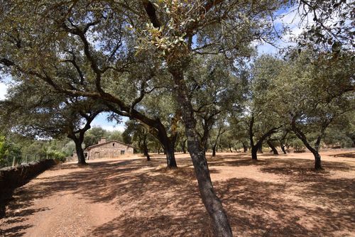 Aracena 001 Rustic and romantic country house in El Repilado, Huelva, Spain  with private pool for 5 persons...