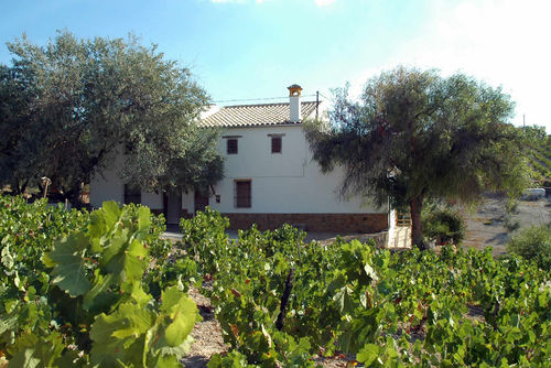 Córdoba 006b Wunderschöne und schöne Finca  mit Gemeinschaftspool in Montilla, Córdoba, Spanien für 8 Personen...