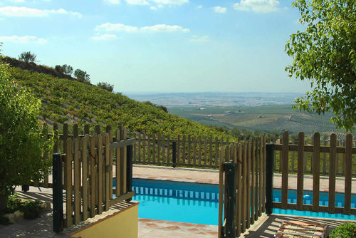 Córdoba 006 Casa de campo grande y acogedora  con piscina privada en Montilla, Córdoba, España para 18 personas...