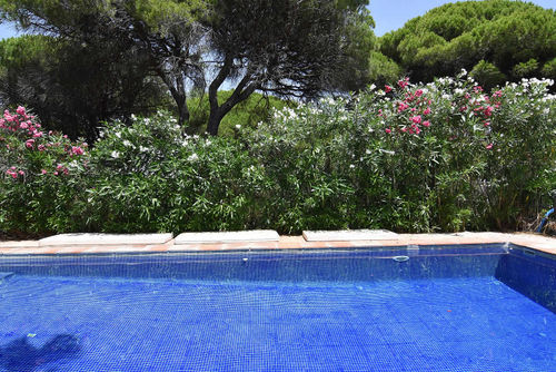 Conil 012 Villa en Conil de la Frontera, Costa de la Luz, España  con piscina privada para 12 personas...