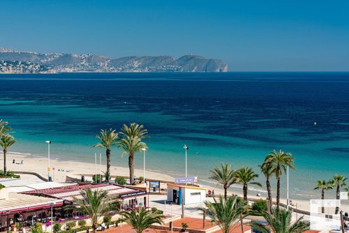 Apolo XVI 2 6 29 Mooie en comfortabele appartement met een gemeenschappelijk zwembad in Calpe, Costa Blanca, Spanje voor 4 personen. Het appartement is gelegen dicht bij restaurants en bars, winkels en supermarkten, en bevindt zich op slechts 25 meter van Playa de la Fossa of Levante strand....