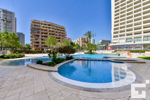 Apolo XVI 68 Appartamento confortevole con piscina comune a Calpe, Costa Blanca, Spagna, per 5 persone. L'appartamento è situato vicino a ristoranti e bar, negozi e supermercati, e si trova a 25 m dalla Playa de la Fossa o dalla spiaggia di Levante....