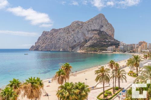 Topacio IV 16C Comfortable apartment with communal pool in Calpe, Costa Blanca, Spain for 4 persons. The apartment is situated close to restaurants and bars, shops and supermarkets, and is 25 m from Playa de la Fossa/Levante beach....