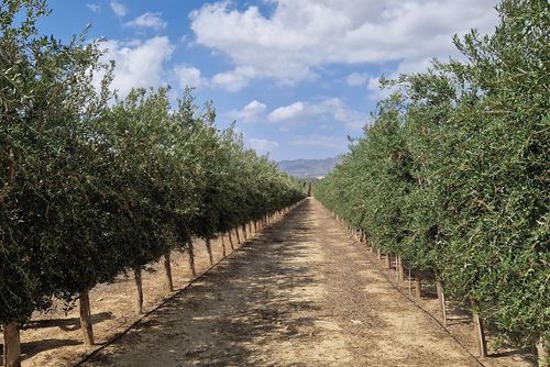 Casa Antonio Casa rústica con piscina comunitaria en San Juan de los Terreros, Andalucía, España, para 6 personas. La casa está situada en un complejo de playa, en una zona residencial y montañosa cerca de la playa, a pocos pasos de tiendas y supermercados, y a 100 m de la playa....