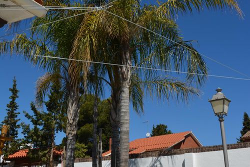 At 8 min walk from beach. Loft  El Ranch.   Jacuzzi  Garden   Quite Area Estudio cómodo en Sitges, Costa Dorada, España para 4 personas. El estudio está situado en una zona rural, boscosa, urbana y montañosa cerca de la playa, a poca distancia de una cancha de tenis y a 4 km del pueblo más cercano, a solo 5 minutos en coche....