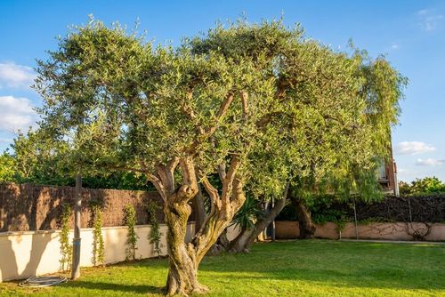 Apartamento Villa Cristina en Vinyet Sitges 500 metros de la Playa    Piscina   AC    Garage  2 Coches Appartement à Sitges, Costa Dorada, Espagne, avec piscine commune pour 8 personnes. L'appartement est situé dans une zone urbaine en bord de mer, à proximité de restaurants, bars et magasins, et à 50 m de la plage....