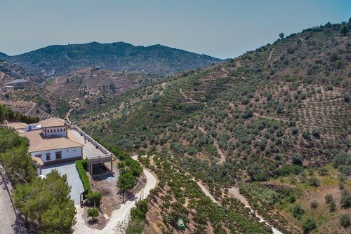 Preciosa villa con piscina y Jacuzzi AX-1S Villa con piscina privata a Sayalonga, Costa del Sol, Spagna, per 12 persone. La casa è situata in una zona rurale, boschiva e montuosa....