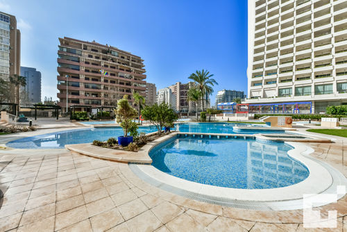 Apolo XVI 1 4 18 Comfortabel appartement met gemeenschappelijk zwembad in Calpe, Costa Blanca, Spanje voor 4 personen. Het appartement is gelegen nabij restaurants en bars, winkels en supermarkten, en is 25 m van het strand La Fossa / Levante....
