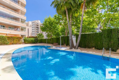 Apolo XIX 34L Appartamento confortevole con piscina comune a Calpe, Costa Blanca, Spagna per 6 persone. L'appartamento è situato vicino a ristoranti e bar, negozi e supermercati, e a 100 m dalla spiaggia di La Fossa / Levante....