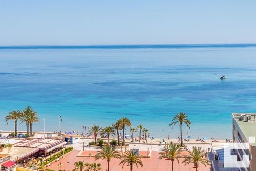 Apolo XVII 31 Apartment in Calpe, Costa Blanca, Spain with communal pool for 4 persons. The apartment is situated close to restaurants and bars, shops and supermarkets, and 25 m from La Fossa / Levante beach....