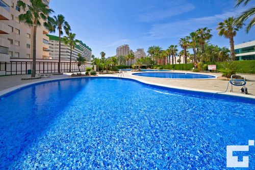 Coralbeach 318B Appartamento a Calpe, Costa Blanca, Spagna, con piscina comune per 4 persone. L'appartamento si trova vicino a un campo da golf, ristoranti e bar, negozi e supermercati, ed è a 200 m dalla spiaggia di La Fossa / Levante....