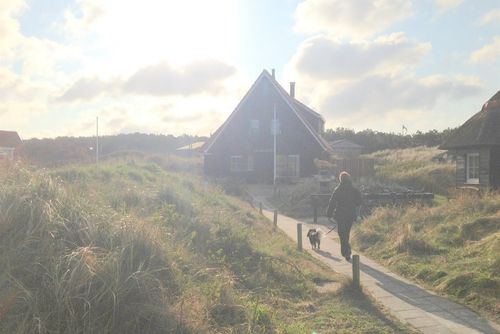 Duinzicht 2 Ferienhaus in Oost Vlieland, Vlieland, Niederlande für 8 Personen...