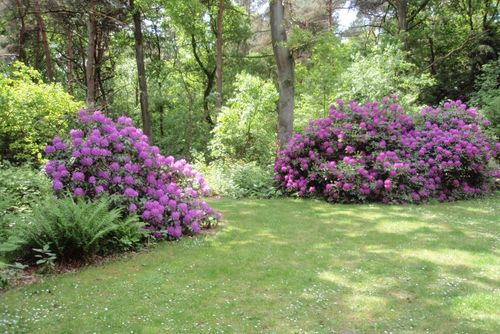 Bungalow Motief Holiday home in Harfsen, Gelderland, Netherlands for 6 persons...