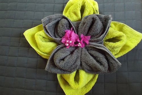 Les villas de tisource Villa  met privé zwembad in Guadeloupe, Guadeloupe, Guadeloupe voor 6 personen...