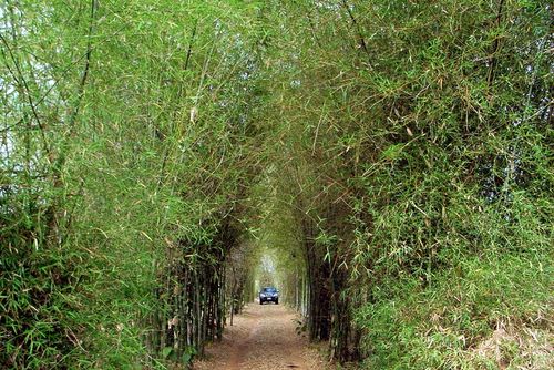Gecko Villa Villa  with private pool in Udon Thani, Red Lotus Sea, Thailand for 6 persons...