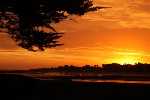 VillaLaFnouil  IledYeu Feriehus i L'Île-d'Yeu, Vendée, Frankrig med plads til 12 personer...
