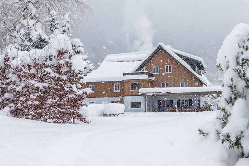 SeeXXL Landhuis in Obertraun, Upper Austria, Oostenrijk  met privé zwembad voor 25 personen...