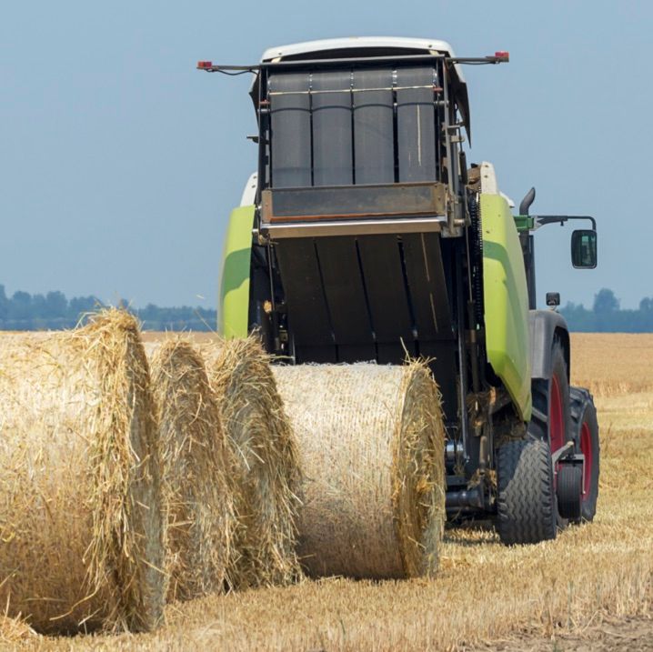 Hay & Forage