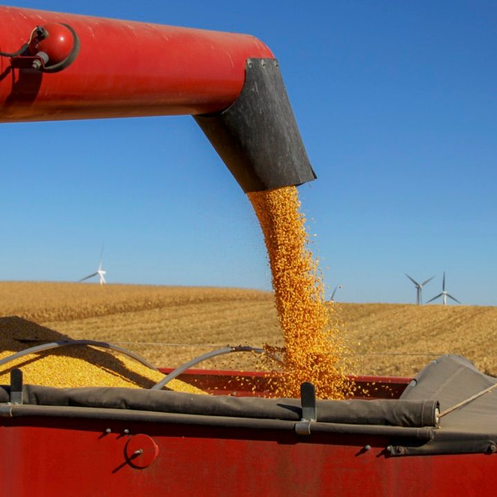 Grain Storage & Handling