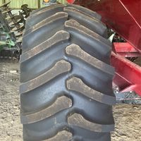 b31e1857-10c7-4c21-8cf1-1beba8f06f08