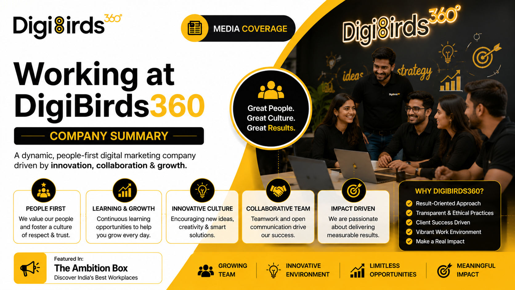 Working at DigiBirds360 Company Summary