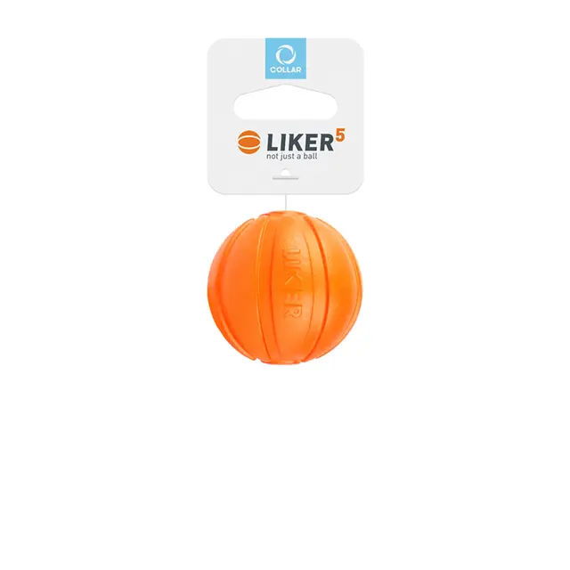 https://b2b.collar.com/uploads/store/CatalogItems/CatalogItems14169/46a49c.jpg - картинка