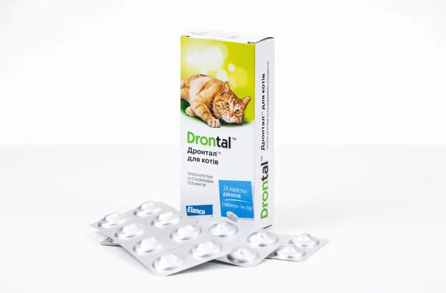 https://ik.imagekit.io/ahcysj84d/Drontal_cat5__2__dWLeTRJb2.jpg - картинка