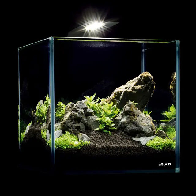 https://b2b.collar.com/uploads/store/CatalogItems/CatalogItems6755/a593f1.jpg - картинка