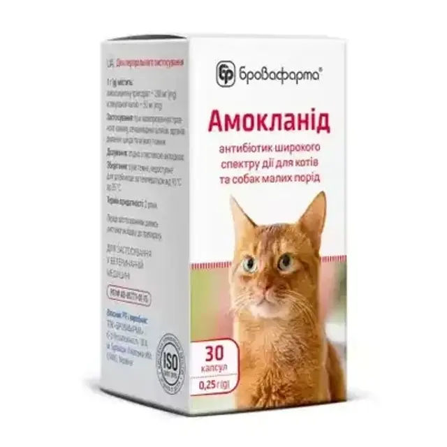 Амокланід капсули для котів 0,25 г №30 (уп) "Бровафарма" антибіотики - фото продукту Фауна