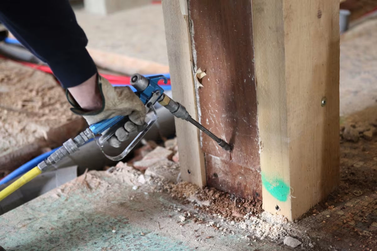 Preparing your home for termite season in Arizona