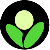 Betula.ai v1.0