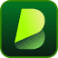 BlipCut Video Translator