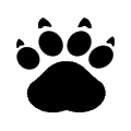 Cheeta