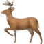DeerFlow