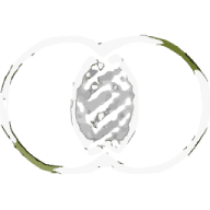 FindYourTriggers
