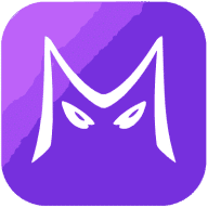 MeetAssist