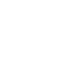 PruE AI