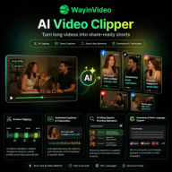WayinVideo