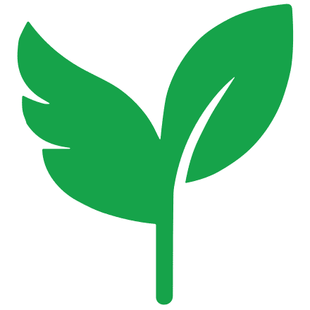 SeedAngels