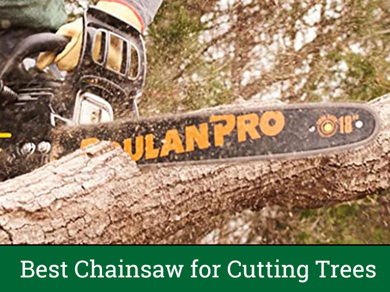 Best Chainsaw for Cutting Trees - [Top 6 for 2024]
