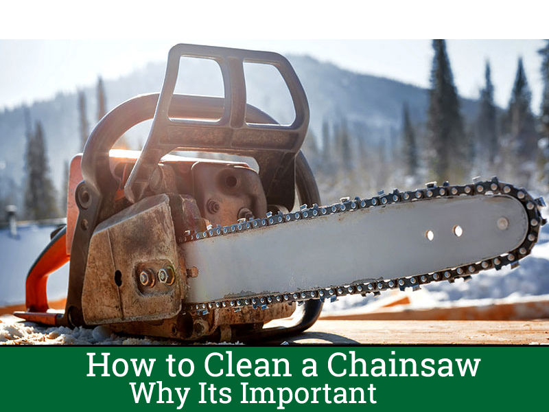 Cleaning a Chainsaw, What To Avoid?