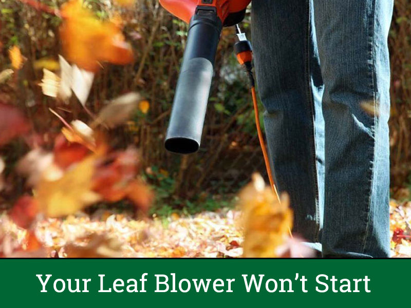 Your Leaf Blower Won’t Start How do You Fix It?