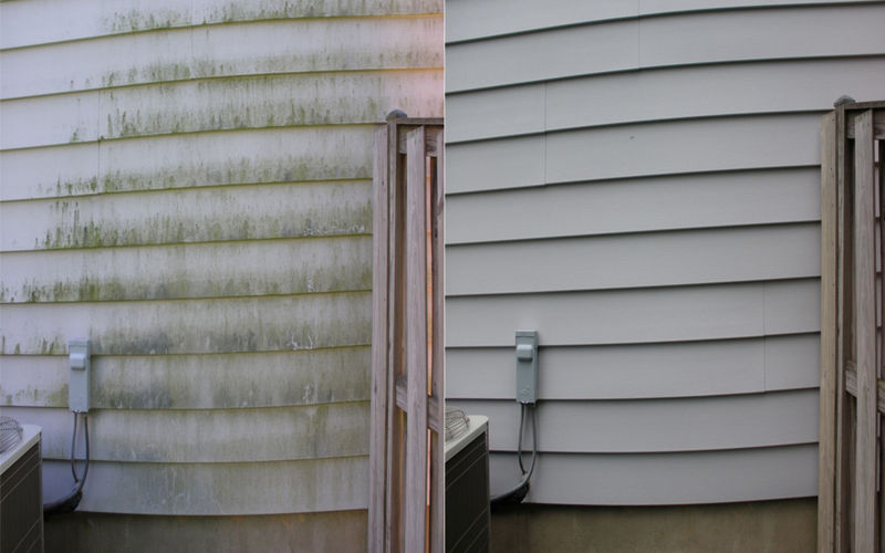 Remove Mold From Vinyl Siding