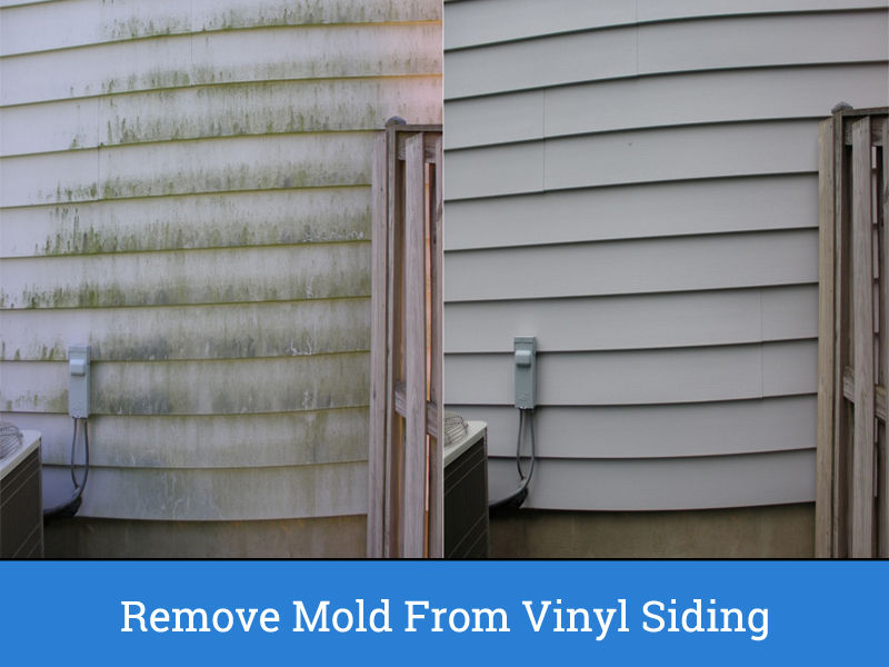 Remove Mold From Vinyl Siding