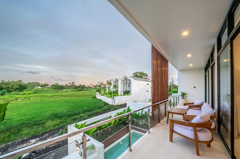 Omnia rice field view