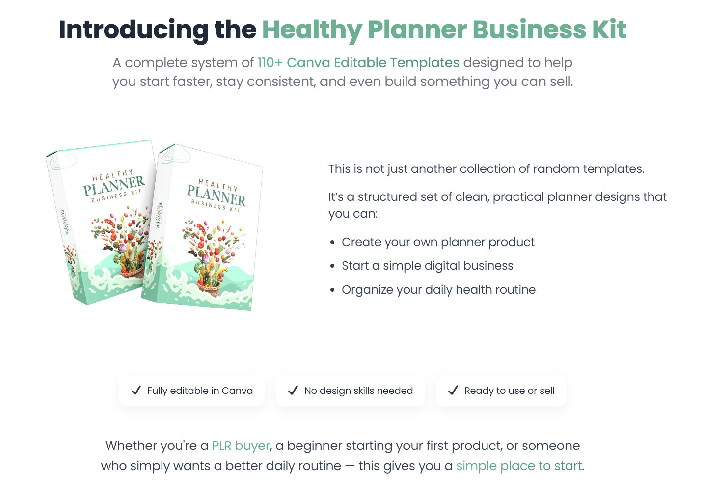Healthy Planner Review: I Tested This 110-Template PLR Bundle So You Don't Have To
