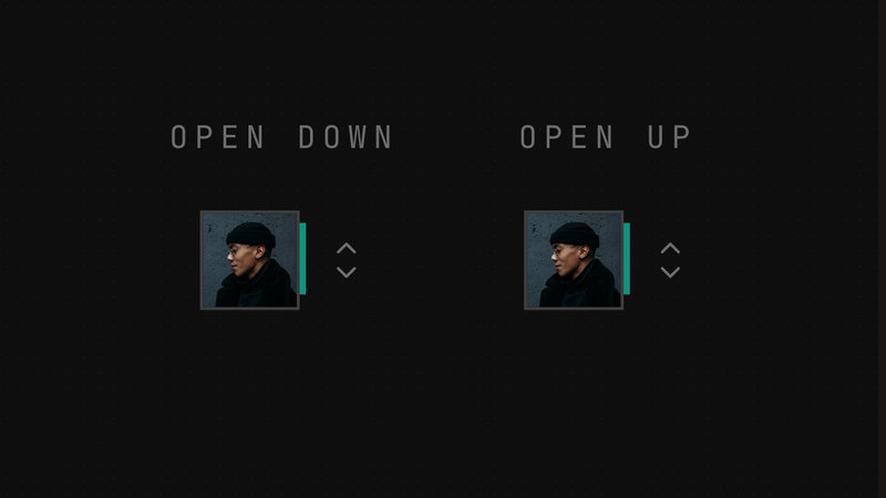 User Menu