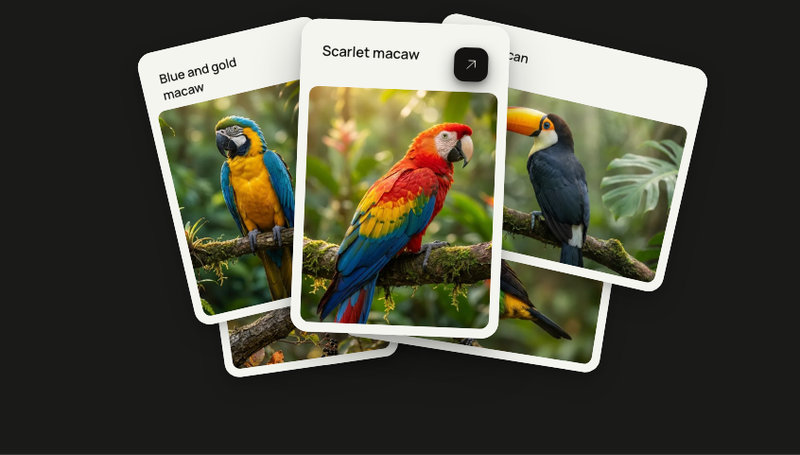 Interactive Card Stack
