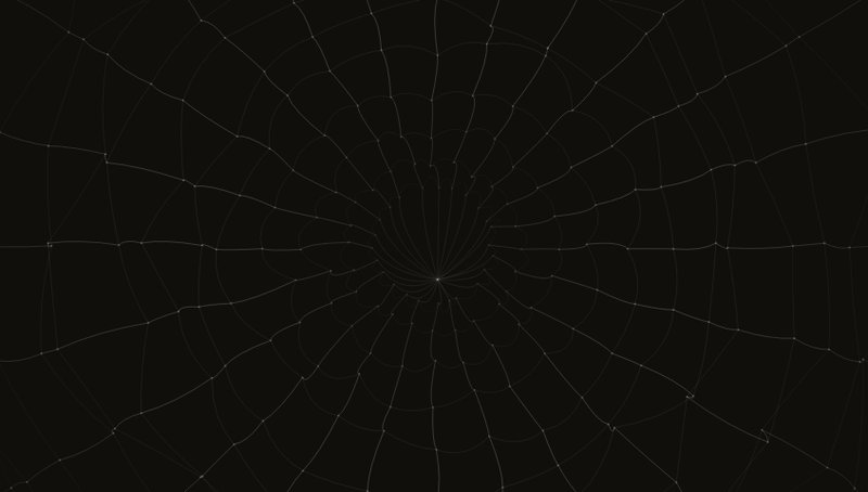 Spider Web