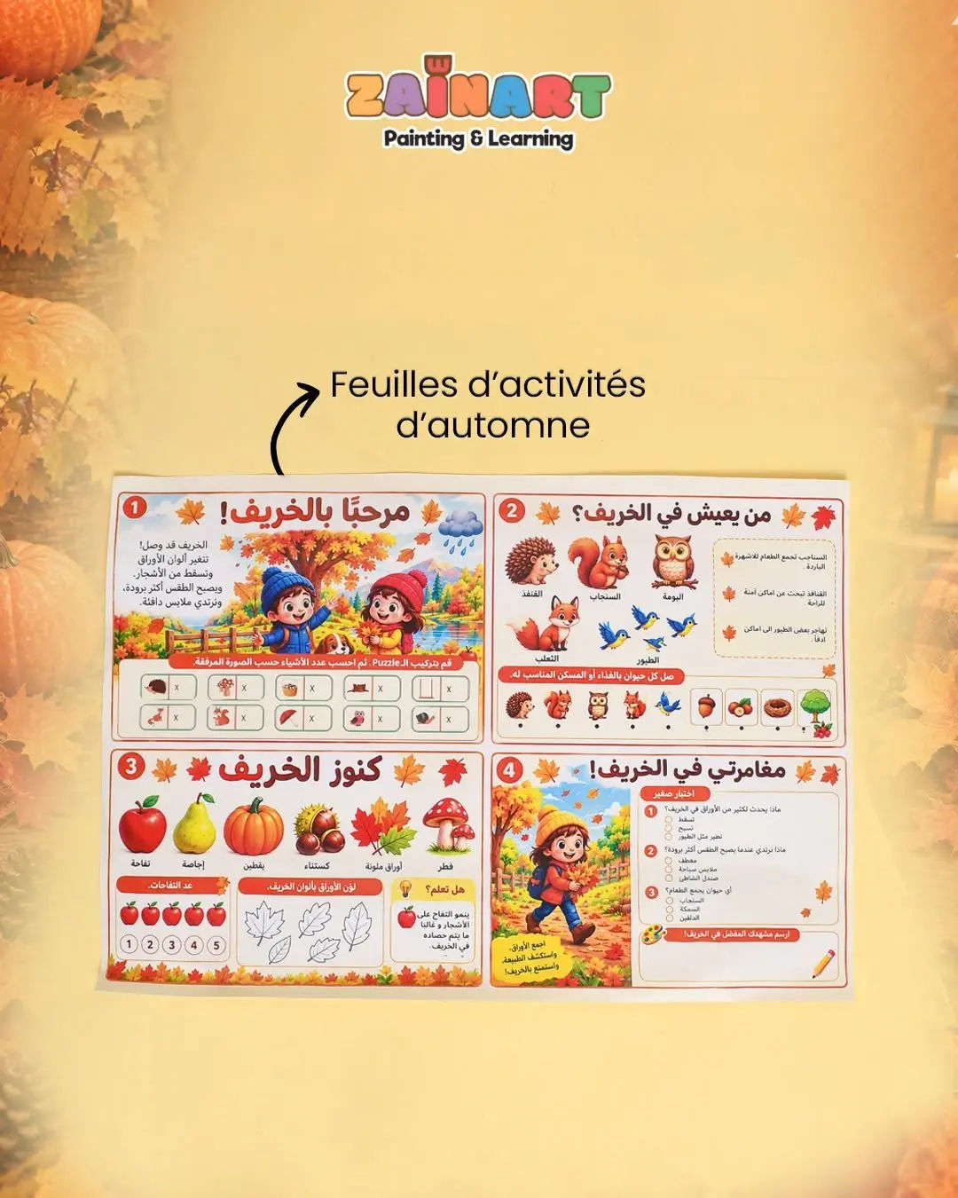 Kit Automne